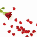 Rose et p�tales en forme de coeurs