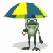 Grenouille sous un parapluie