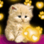 Chat rouquin et coeurs fluo