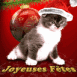 Chaton de no�l