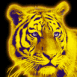 Tigre néon