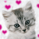Chaton gris et coeurs roses