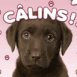 Chiot chocolat "C�lins!"