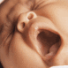 B�b� qui baille