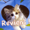 Chaton sortant d'un coeur "Reviens!"
