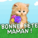 Chat rouquin avec des fleurs "Bonne f�te maman!"
