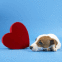 Chiot et coeur rouge