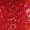 Gros plan d'une fraise