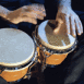 gros plan de bongos