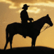 Silhouette de cow-boy au cr�puscule