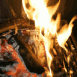 Feu de bois