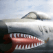 Nez d'avion motif requin