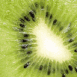Kiwi en coupe