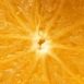 Orange en gros plan