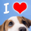 Regard de chien "I love"