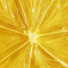 Citron en coupe
