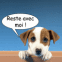 Chiot dans un pot "Reste avec moi!"