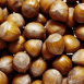 Noisettes