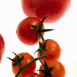 Tomates en grappe
