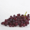 Grappe de raisin rouge