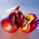 Gants de boxe