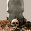 Pierre tombale "R.I.P" et cr�ne