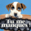 Chiot triste "tu me manques!"