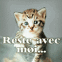 Chaton triste "Reste avec moi..."
