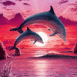 Dauphins et coucher de soleil rose