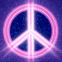 Peace & Love n�on rose