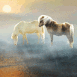 Chevaux en bord de mer