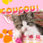 Chaton malicieux "Coucou!"