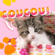 Chaton malicieux "Coucou!"