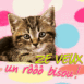 Chat "Ze veux un r��� bisou!"