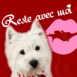 Chiot scottish "Reste avec moi!"