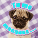 Chiot bouledogue "Tu me manques"