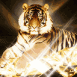 Le tigre d'or