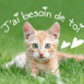 Chat aux grands yeux "J'ai besoin de toi"