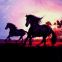 Chevaux qui galopent � la nuit tomb�e