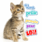 Chaton "Une petite pens�e pour toi"