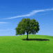 Paysage d'�t�