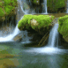 Magnifique paysage sauvage