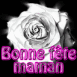 "Bonne f�te maman" rose n�on