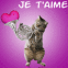 Chat musicien "Je t'aime"