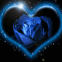 Rose bleue dans un coeur �toil�