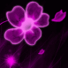 Fleur n�on