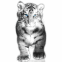 B�b� tigre blanc