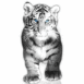 B�b� tigre blanc