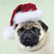 Chiot qui joue au p�re No�l