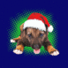 Chiot d�guis� en P�re No�l